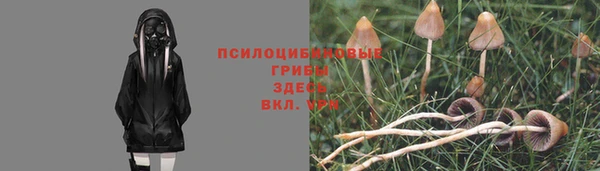 кокаин премиум Няндома