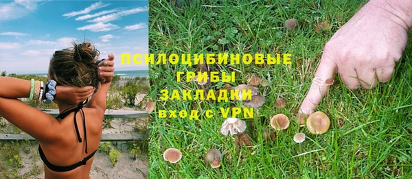 jwh Павловск